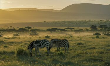 Zebras at Hell's Gate National Park Kenya