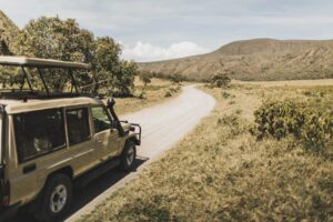 11 Days luxury Footprints of kenya Samburu/Olpejeta/Nakuru/Maasaimara/Naivasha/Amboseli-Tsavo Safari
