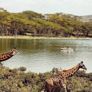  Lake Naivasha, Kenya 