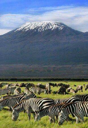 amboseli national park