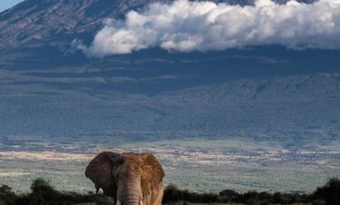 Amboseli-National-Park-
