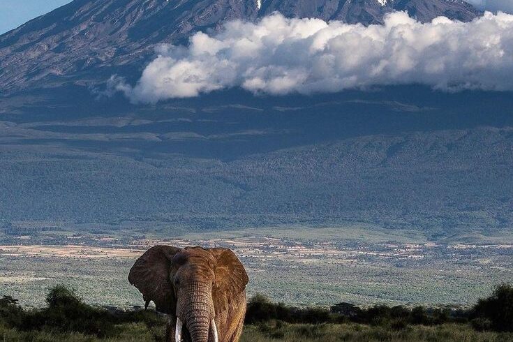 Amboseli-National-Park-