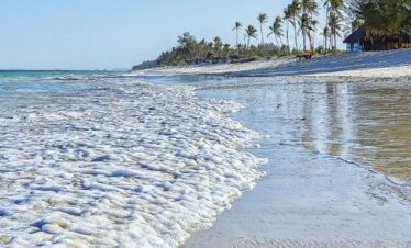 Beach Holiday in Diani Beach