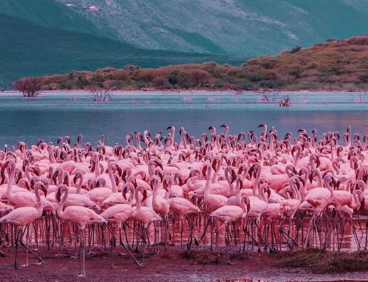 Best Time to Visit Kenya