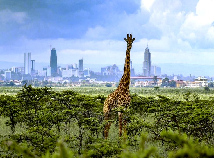 NAIROBI NATIONAL PARK