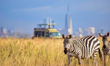 Nairobi National Park Kenya