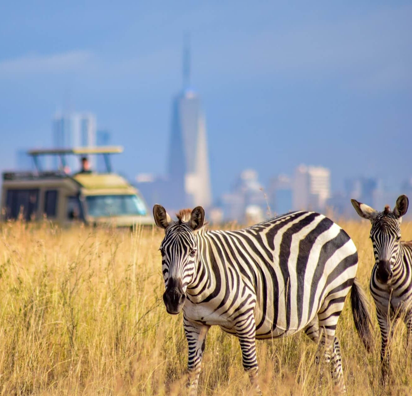 Nairobi National Park 8 e1741694224583