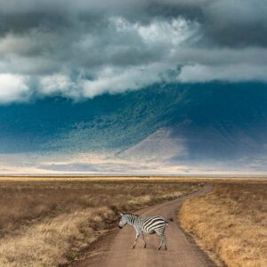 NGORONGORO CRATER