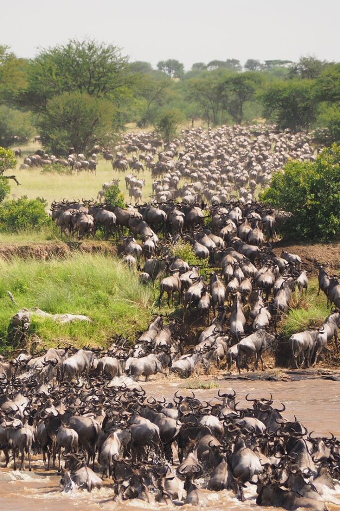 great migration