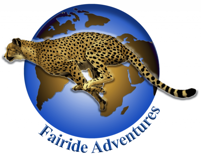 what-to-do-karura-forest-activities