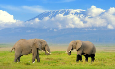 amboseli national park