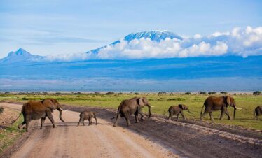 amboseli national park