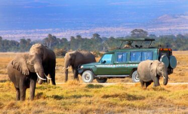 Safari experience in Kenya