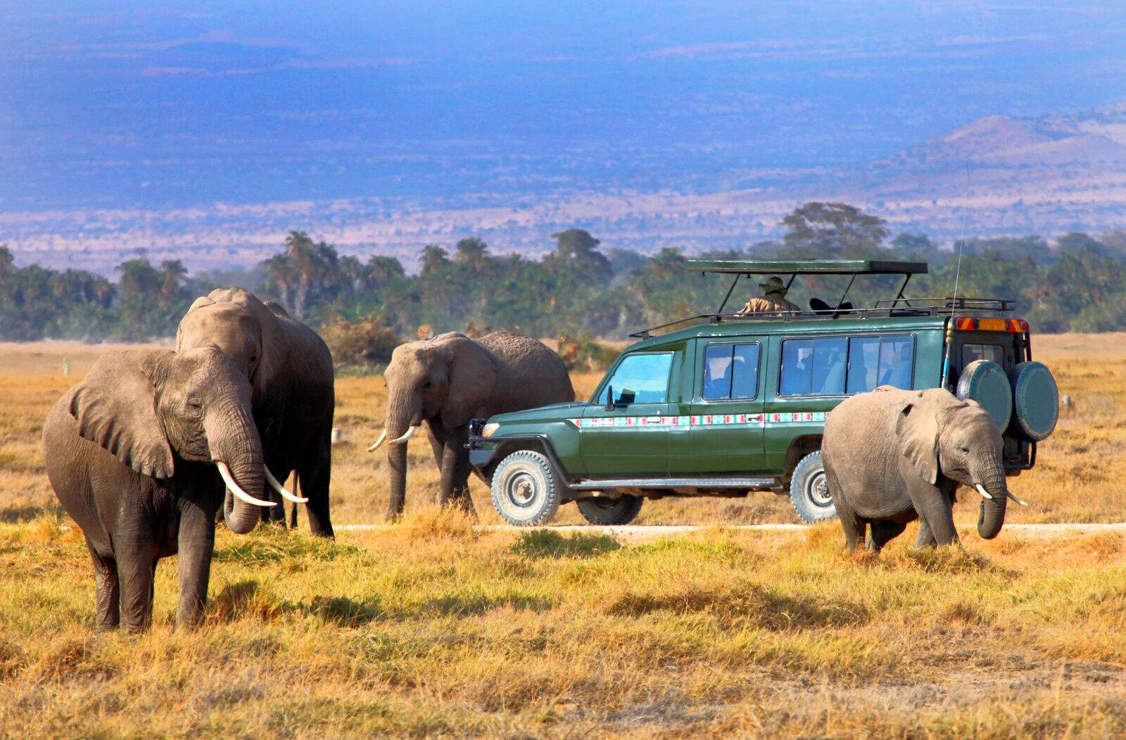 3 Days Maasai Mara safari from Nairobi