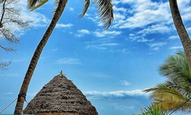 zanzibar flying package