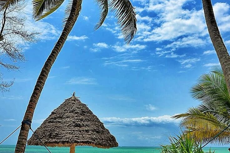 zanzibar flying package