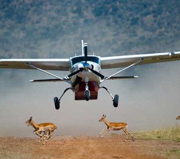 masai mara safari