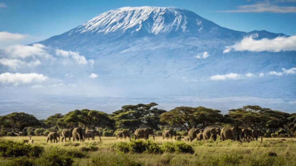 DAY TRIP TO MOUNT KILIMANJARO