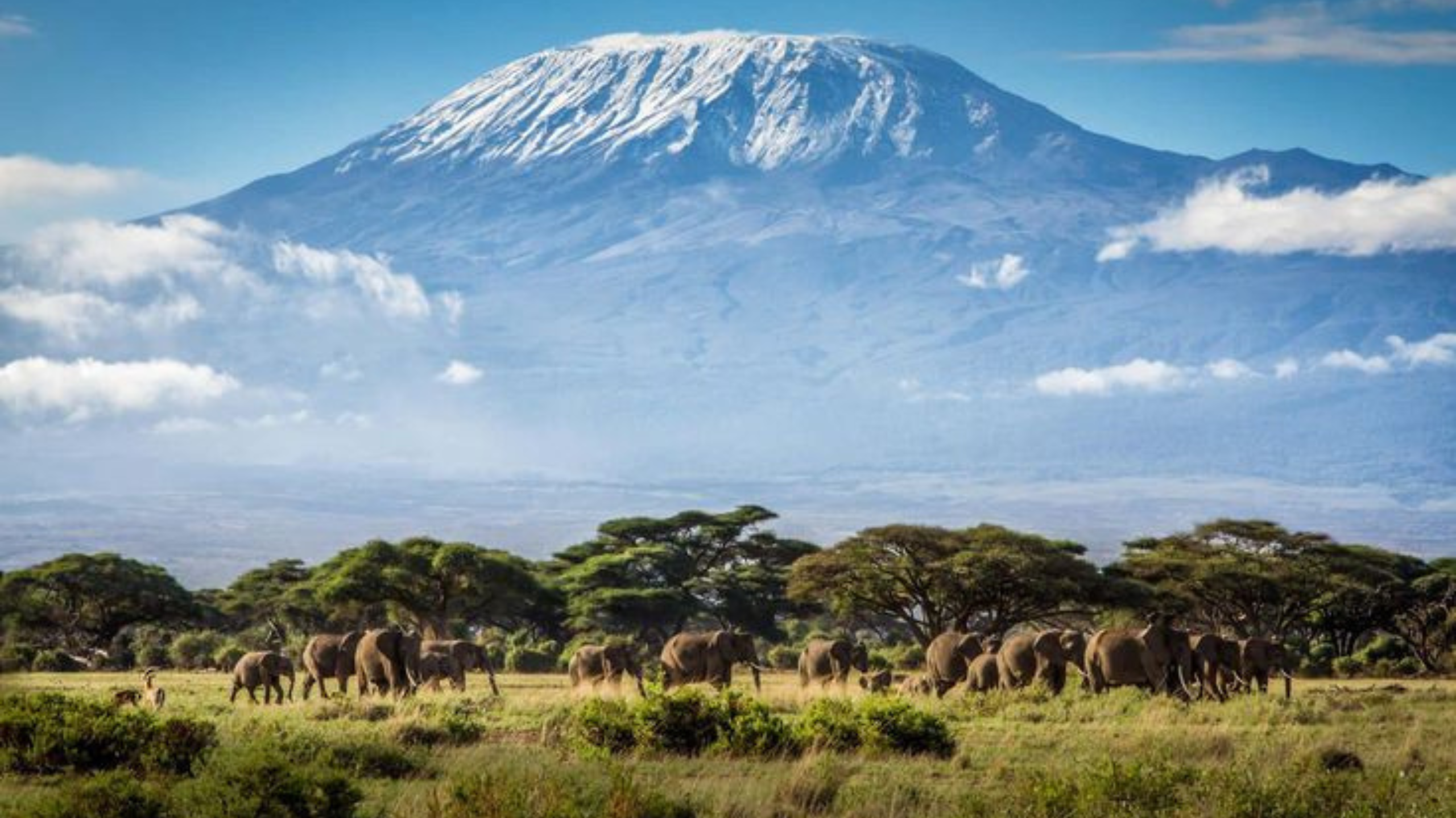 DAY TRIP TO MOUNT KILIMANJARO