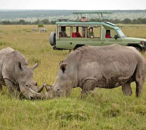 Safari vehicle during a game drive in Ol Pejeta Conservancy