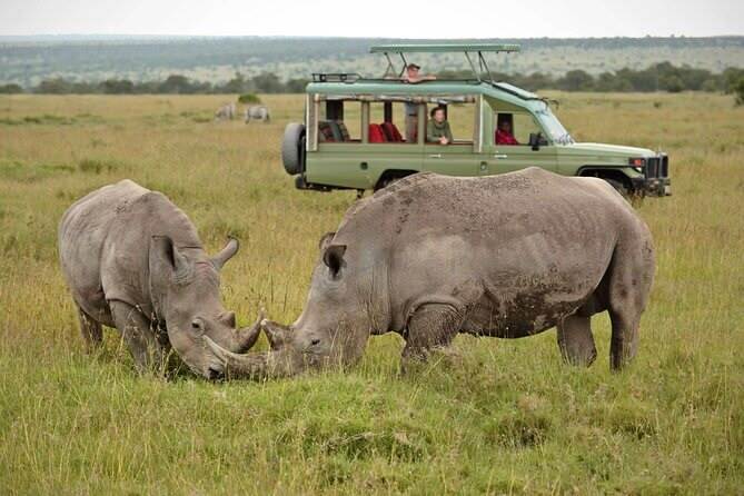 Safari vehicle during a game drive in Ol Pejeta Conservancy