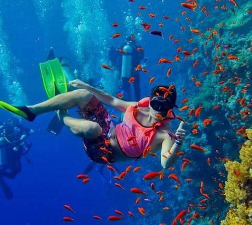 Snorkeling in the crystall-clear waters near Zanzibar