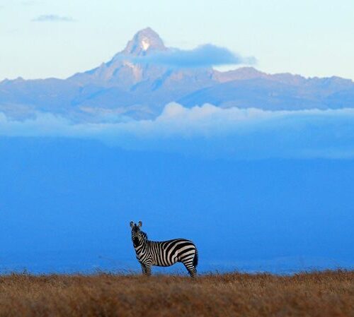 Ol Pejeta Conservancy with Mount Kenya in the background