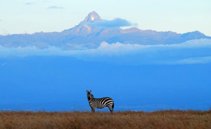 Ol Pejeta Conservancy with Mount Kenya in the background