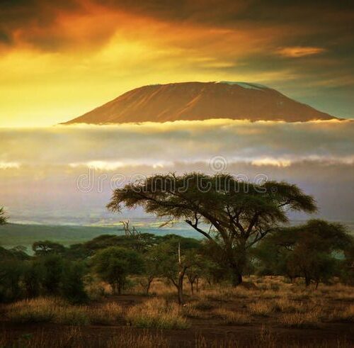 Sunrise view of Mount Kilimanjaro from Amboseli National park