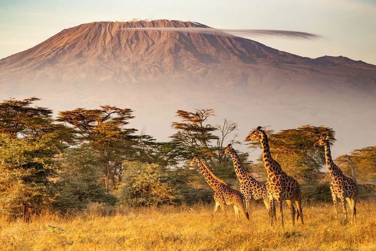 Sunset view of Mount Kilimanjaro from Amboseli National park