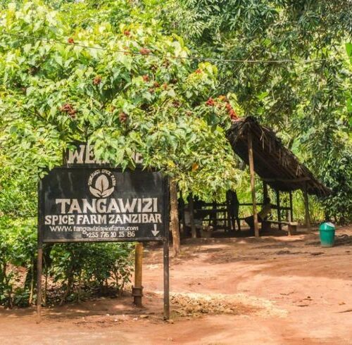 Visitors exploring a spice farm in Zanzibar