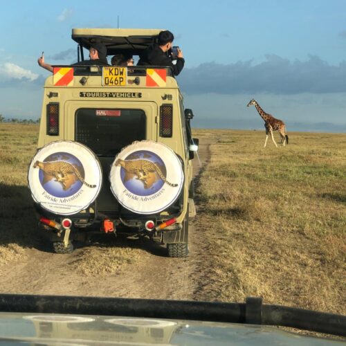 Game drive during a Kenya safari for What Should You pack for a Kenya Safari