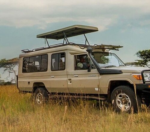 Safari vegicle during a game drive in Mikumi National park
