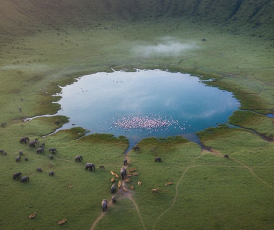 ngorongoro crater