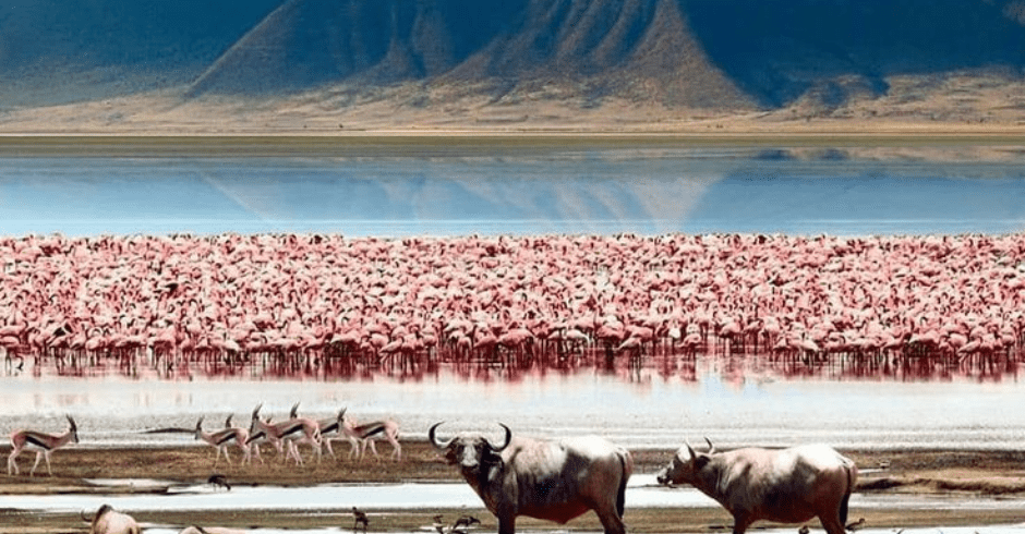 LAKE MANYARA NATIONAL PARK