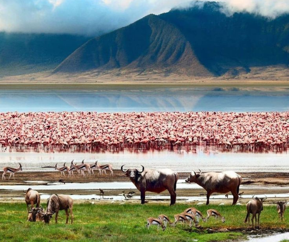 LAKE MANYARA NATIONAL PARK