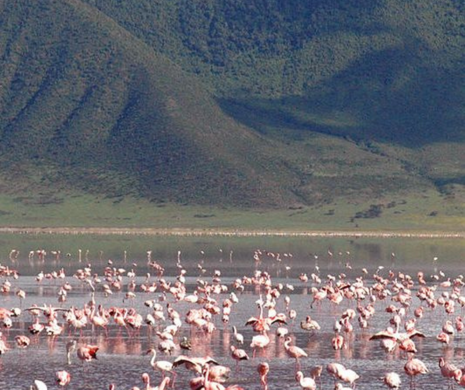 Ngorongoro Crater