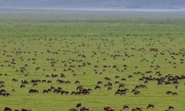 Serengeti National Park