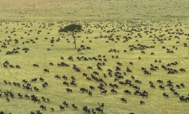 Serengeti National Park