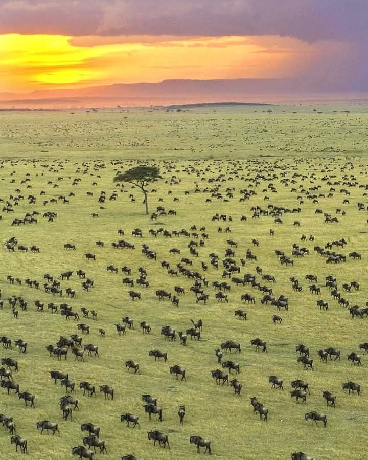 Serengeti National Park