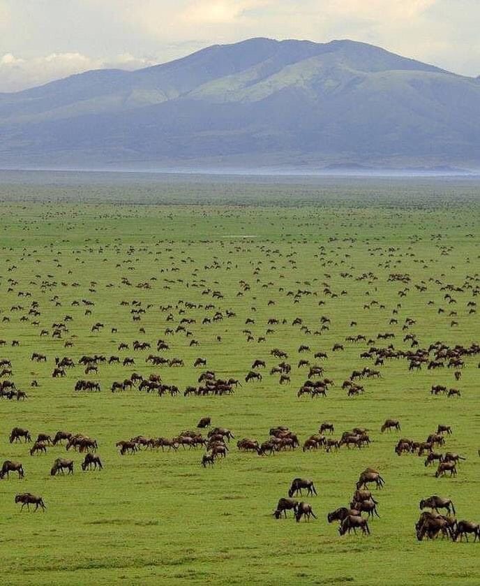 Serengeti National Park