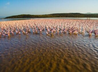 Lake Bogoria Kenya