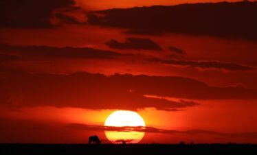 Sunset over Maasai Mara National Reserve