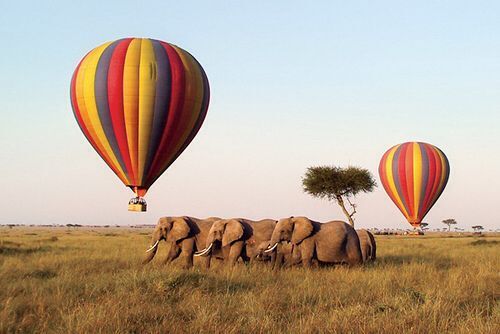 Hot air balloon safari in Maasai Mara