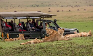 4*4 safari Land Cruiser on game drive