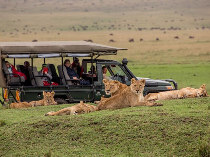 Big Five safari in Kenya