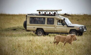Ngorongoro Crater safari