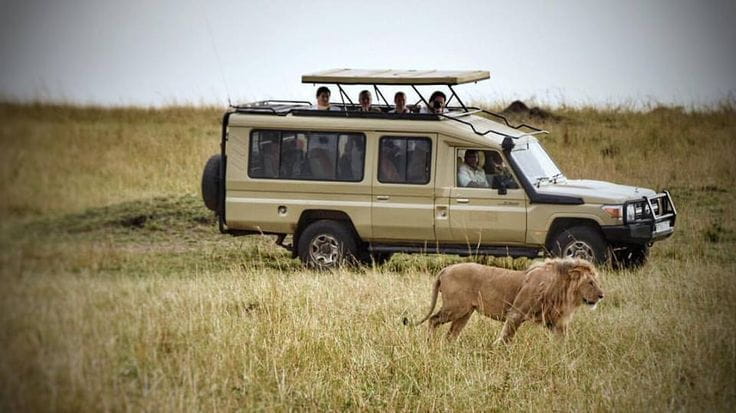 Ngorongoro Crater safari