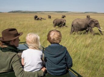 Family-friendly Kenya safari packages