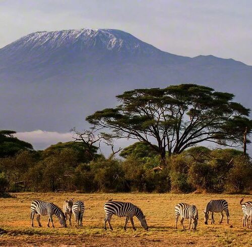 2 Days Amboseli safari from Nairobi Mount Kilimanjaro view